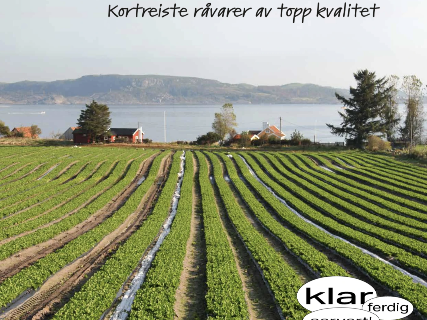 Bilde av dyrket mark med salat